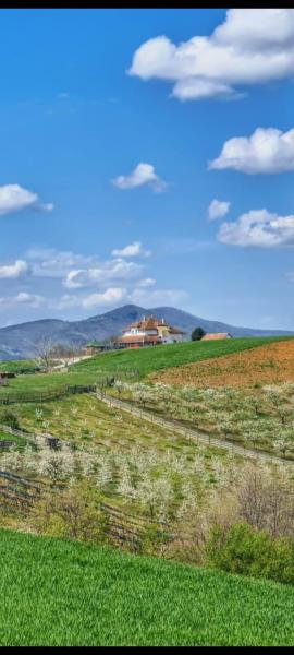 Kuća kod Tala